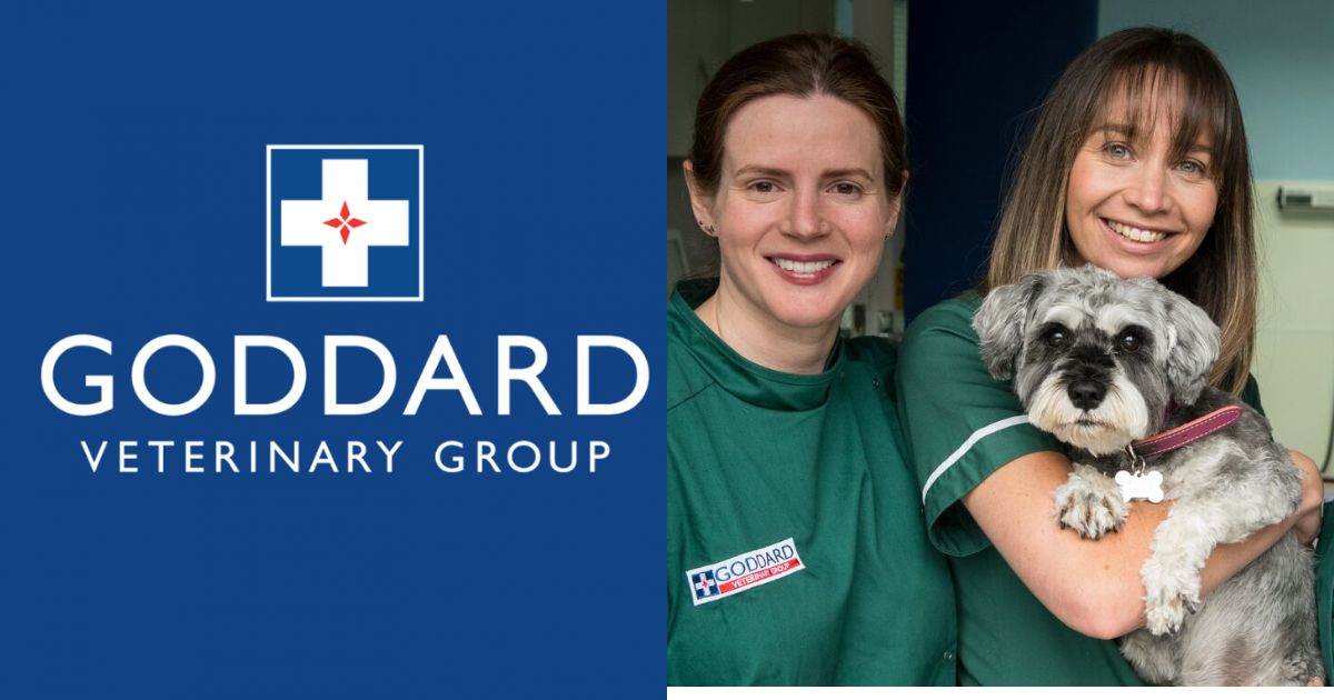 Goddard Veterinary Group Chalfont ST Peter Lower Road Chalfont Saint Peter Gerrards Cross