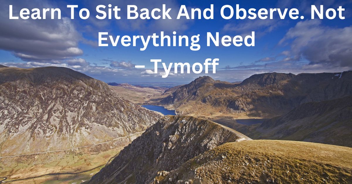Learn To Sit Back And Observe. Not Everything Need – Tymoff